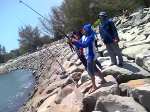 Ikan Bebatik