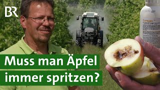 Pflanzenschutz im Obstbau: Muss man Äpfel, Birne &amp; Co. immer spritzen? | Pestizide | Unser Land | BR