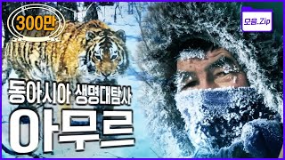 [명작다큐몰아보기] 대초원, 타이가, 강, 그리고 바다로 이어지는 대자연 | 2011 KBS 동아시아 생명대탐사 '아무르 Amur' 3부작