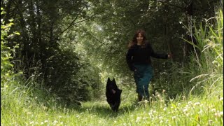 Download Lagu June: Daily life during summer in Holland MP3