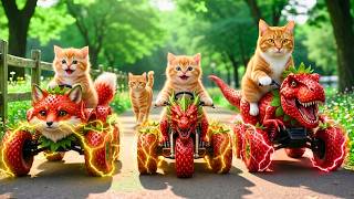 Cat【まさかの高額】イチゴジャムが高すぎる…絶望した子猫ここにゃんが