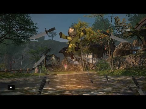 ファイナルファンタジーXIV: 新生エオルゼア_忍者変身マクロFinal Fantasy XIV macro