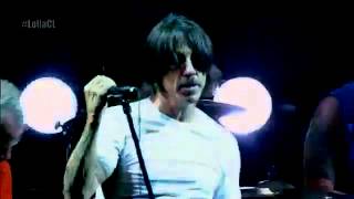 Red Hot Chili Peppers - I Like Dirt live @ Lollapalooza 2014