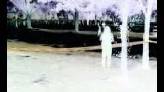 Qik - Mobile video by Gacela de Las Rosas