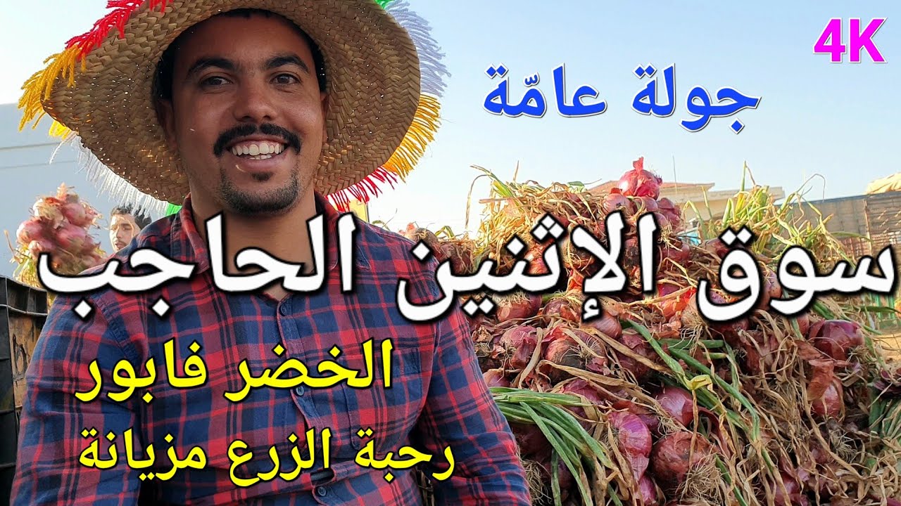 أثمنة الدجاج واللحوم والخضر والقطاني سوق الإثنين الحاجب