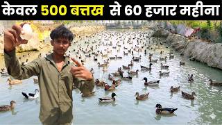 21 की उम्र में बातक पालन से हर महीना कमाता हूँ 60 हजार II Duck Farming II Duck II Poultry