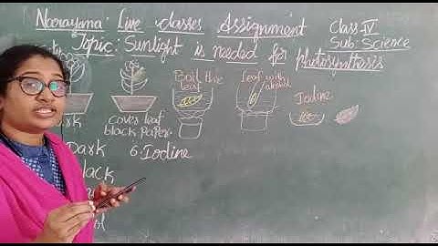METROS CLASS IV SCIENCE ASSIGNMENT VIDEO DAY 8