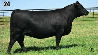 Lot 24