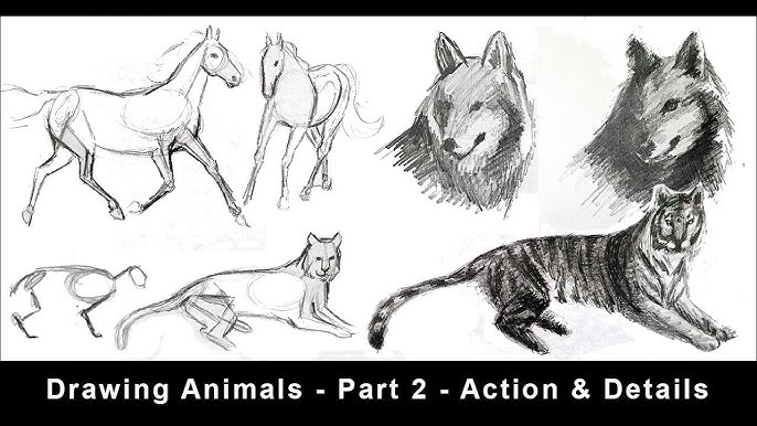 How to Draw Everything: A Kid's Step-by-Step Guide to Sketching Animals, Flowers, Mythical Creatures, Everyday Objects and More, Featuring Clear