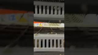 Manisadan Alpay Bağcı Kardeşime Verdiğimiz Hk490 Makinemizin Cıkım Performansı Hk Kulucka