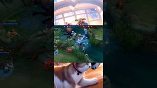 Naik Anjing Aja Naik Anjing fypviral shorts viralshort