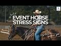 Event Horse Stress Signs Explained