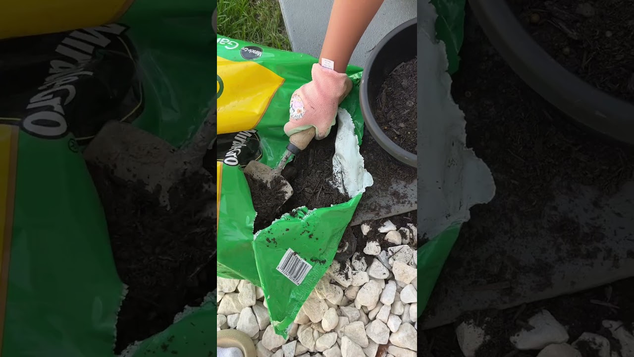 Kindergarten Gardening Lesson ✨