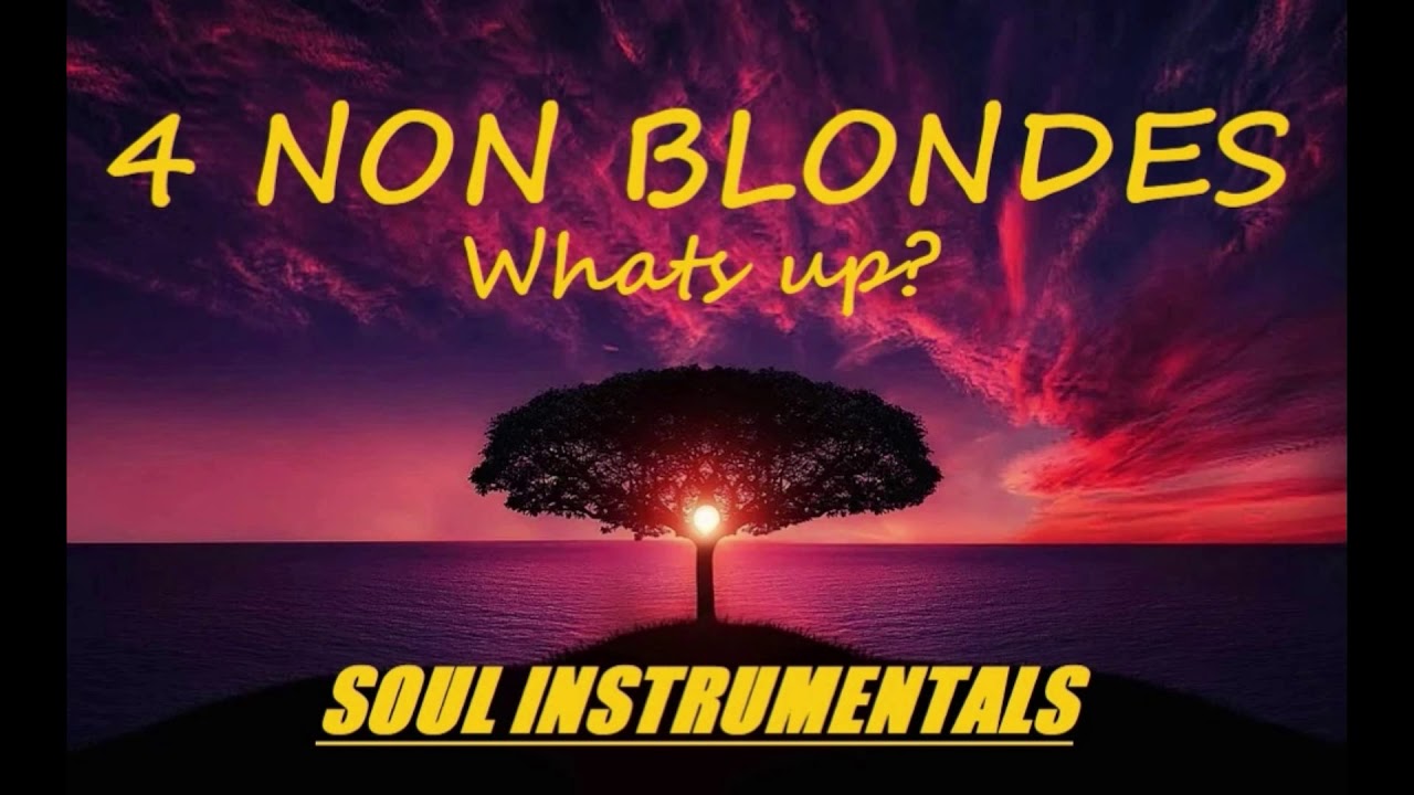 4 Non Blondes - What's Up? Instrumental