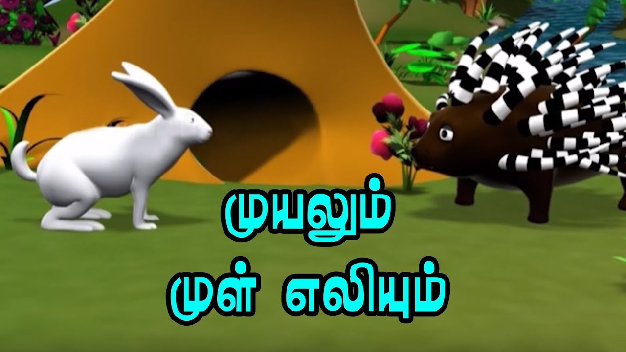 Rabbit and Hedgehog | Animal Stories in Tamil | Moral Stories & Bedtime  Stories - YouTube