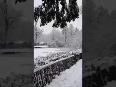 Майя Кристалинская -
