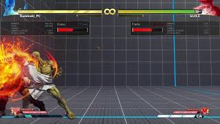 The pressure implications of the charge partition ex fireball loop