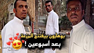 بوهارون بيفتتح المزرعة الجديدة بعد اسبوعين 🤣💔 | سنابات حسين البقشي | علي الشهابي | بوحسين الحساوي