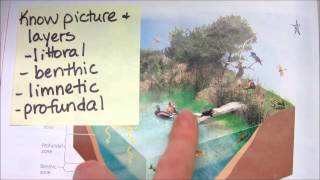 How to teach with Sticky Notes in APES