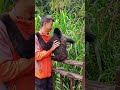 Monkey monky I love you #monkey #loveyou #Shorts #osmundo0716