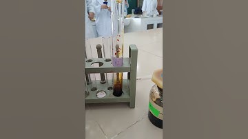 Thí nghiệm 8. Tác dụng của H2O2 với dung dịch KI (Buổi4)