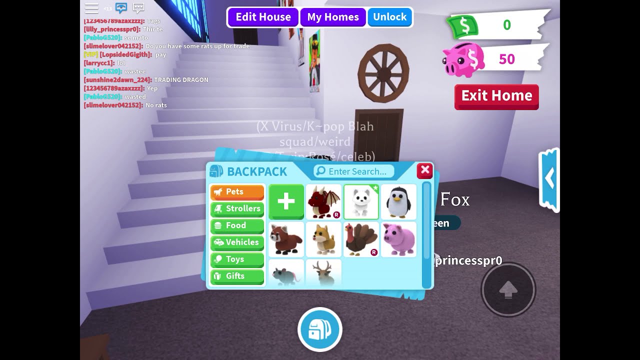 Letting Z decorate my houseAdopt me) YouTube