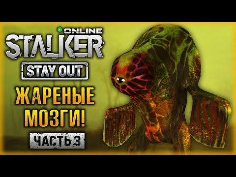 ГОТОВИМ ЛУЧШЕЕ СТАЛКЕРСКОЕ БЛЮДО - ЖАРЕНЫЕ МОЗГИ! | Stalker Online Stay Out ☢️ | (часть 3)