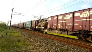 遅3093レEF81 719号機