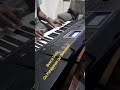 Busca Vida- Música dos Paralamas do Sucesso #piano #pianocover #osparalamasdosucesso