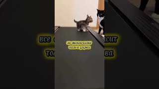 начинать сложно #интересно #мудрость #жизнь #саморазвитие #цитаты #характер #развитие #дисциплина