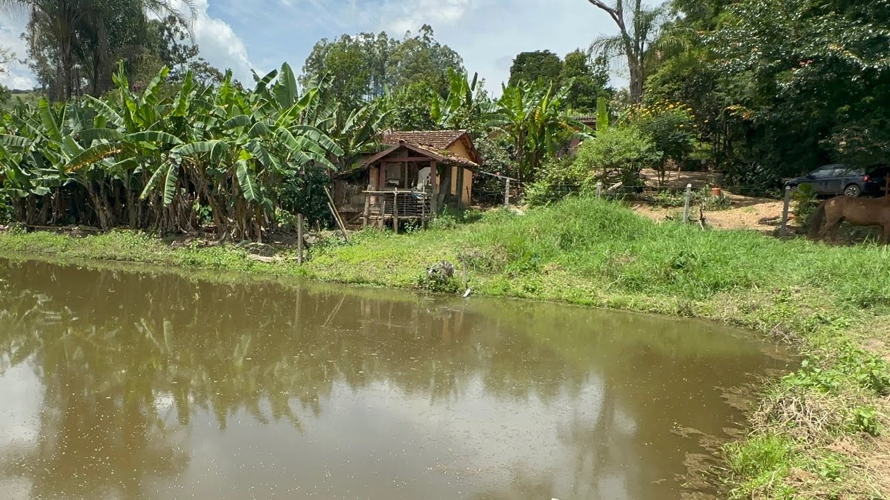 Chácara de 10.000 m2 à venda em Pouso Alegre - MG.