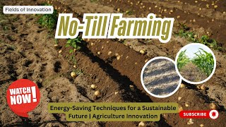 80 - No-Till Farming Energy-Saving Techniques For A Sustainable Future Agriculture Innovation