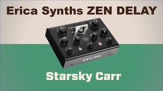 More an instrument than delay pedal // Erica Synths Zen Delay //review demo and walkthrough
