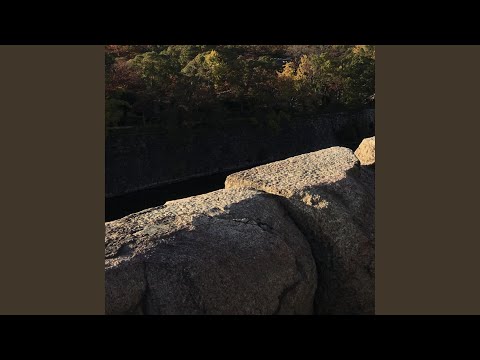Watch Leaf on YouTube Watch Leaf on YouTube