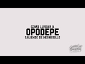 Video de Opodepe