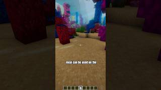 5 Random Minecraft Facts #minecraft #minecraftshorts