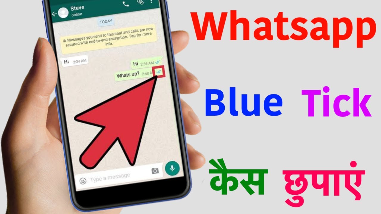 how-to-disable-whatsapp-blue-ticks-for-read-message-whatsapp-blue