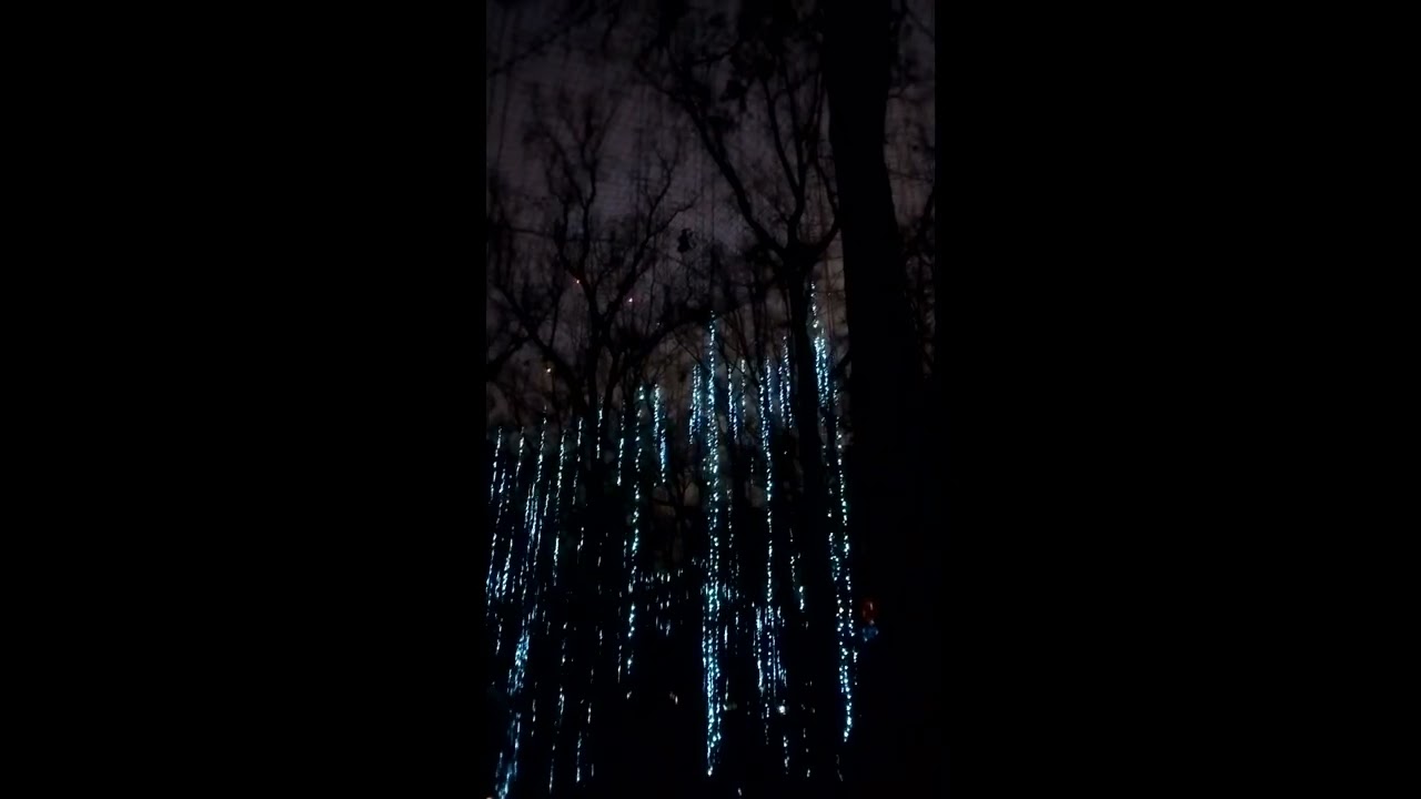 Navidad Atlanta Botanical Garden