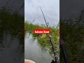 wgm istana ikan #shorts #short #shortsvideo #mancing #wgm #fishing