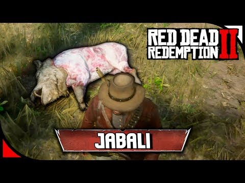 RED DEAD REDEMPTION 2 - Jabali legendario - ANIMALES LEGENDARIOS! ⭐ PS4 Español