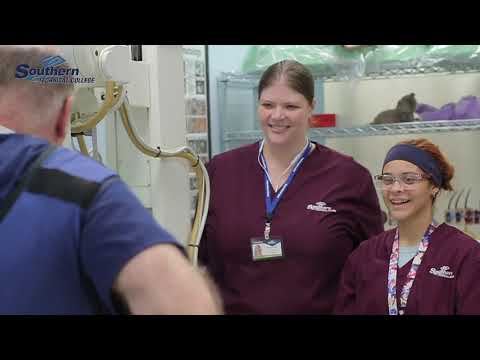Veterinary Assisting -  Southern Technical College - video from Southern Technical College