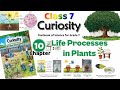 Life Processes in Plants, class 7 science new book chapter 10 complete solution with explanation