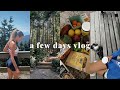 VLOG | a few days in in my life ,getting active, grouse grind hike, grocery haul, thrift finds