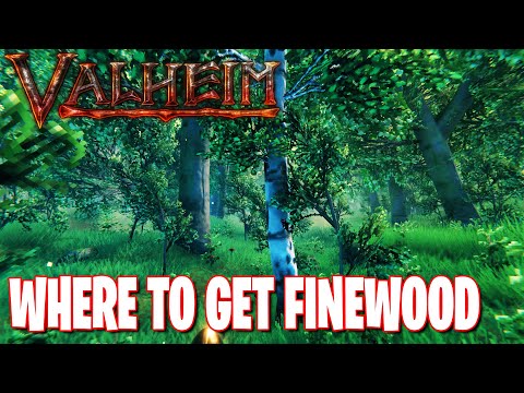 WHERE TO FIND FINEWOOD, UNLOCK PORTAL AND FERMENTER GUIDE | VALHEIM TUTORIAL 15