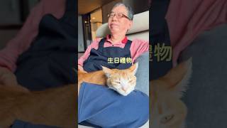 🐱給阿公的生日禮物🎁｜貓寶貓日常