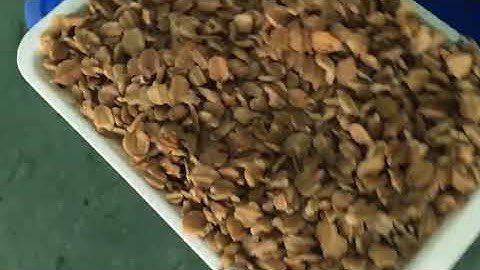 Walnut color sorter,wesort color sorter