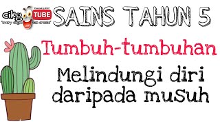 SAINS TAHUN 5 Tumbuh-tumbuhan (Melindungi diri daripada musuh)