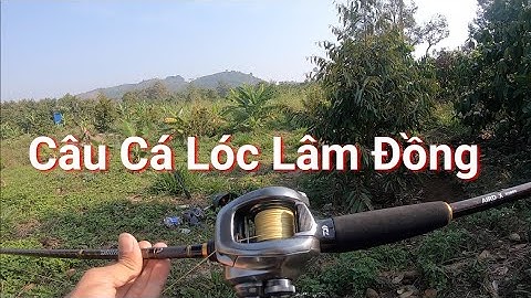 CÙNG HVA FROG CHINH PHỤC CÁ LÓC VIỆT NAM P13 câu cá lóc Snakehead fishing ✅