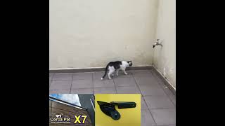 Sistema anti fuga para gatos, onde você mesmo monta usando canos de PVC de 40mm ou 50mm, Cerca Pet