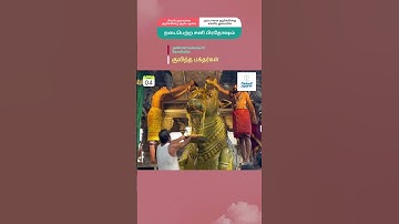 சிவபெருமான்,அம்பாள் ஓரையில் நடைபெற்ற சனி பிரதோஷம் - அண்ணாமலையார் கோயில் குவிந்த பக்தர்கள்#pradosham